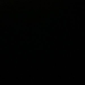 Meet your Posher, Ebony